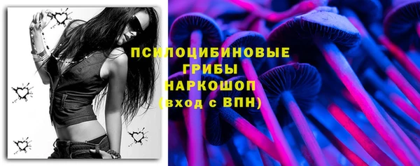 амф Алексин