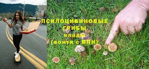 а пвп мука Алзамай